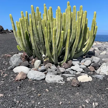 Basalto House Flat Tenerife South Dom wakacyjny *